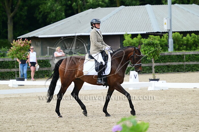 Shirley Neyndorff - Perfect Promise JS