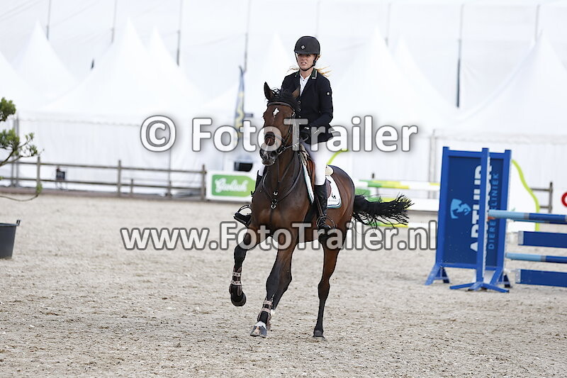 Anoek van der Pluijm