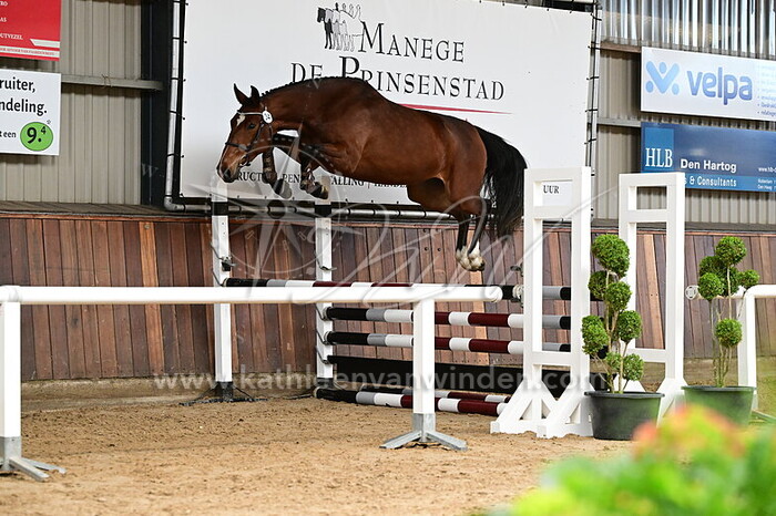 Winnie v.d. Bisschop - nr. 34