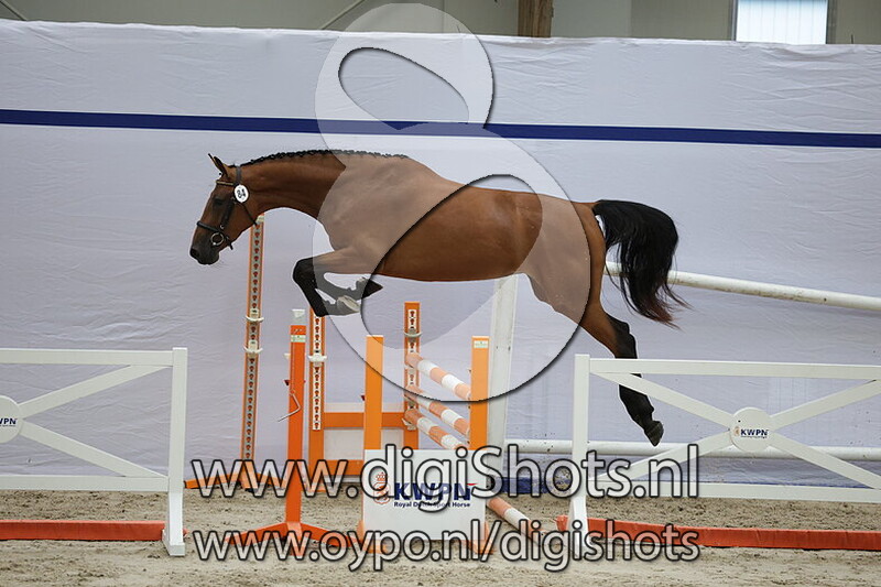 Salsalien v. Mees vd Watermolen