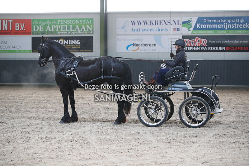 De Voornruiters De Meern Mennen Dressuur 27-01-2024 Enkelspan B/L 9.20-10.50 uur