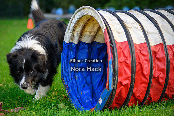 Vrijdag 9 oktober 2020