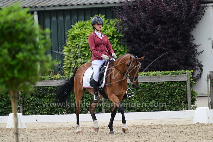 Marijke Funke Kupper - Damiro