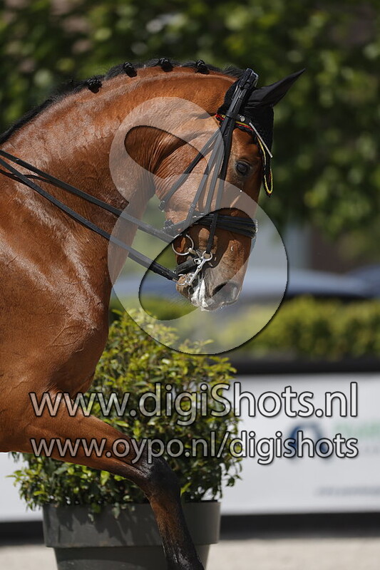 Obi van de Litzemaere