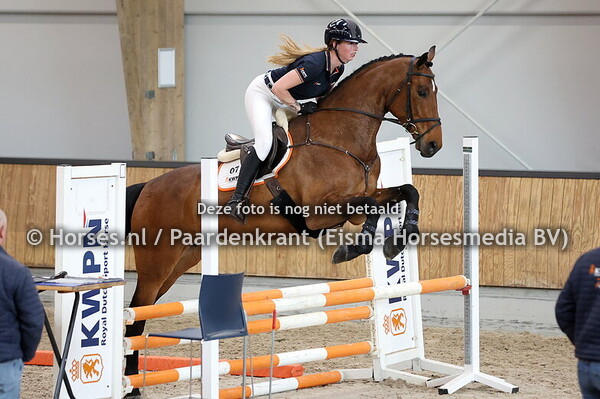 7 Olivia B (Verdi x Padinus)