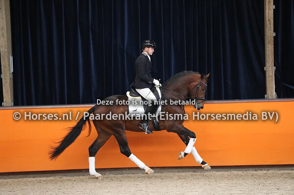 Blue Hors Monte Carlo TC