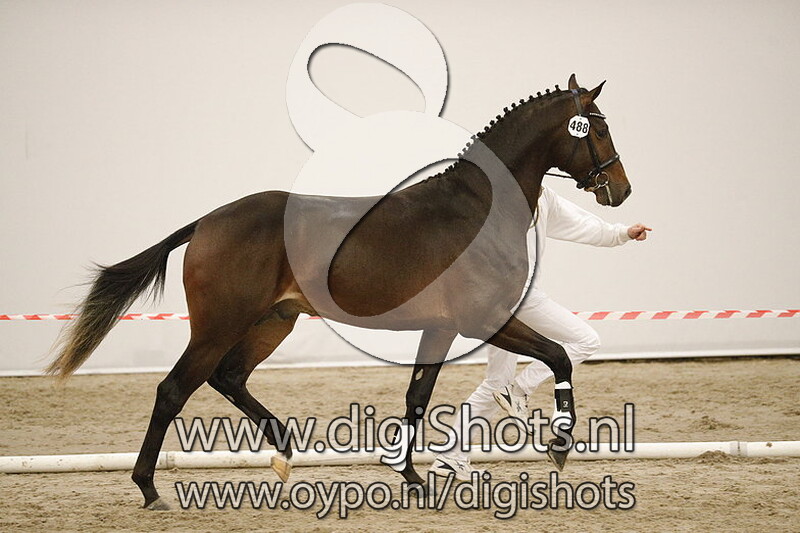 Montgomery v. Impresario