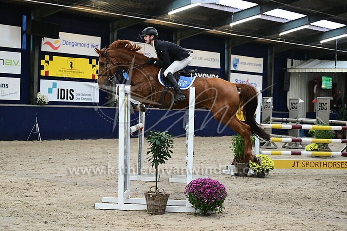 Jonas Braeckman - Sir Vigo