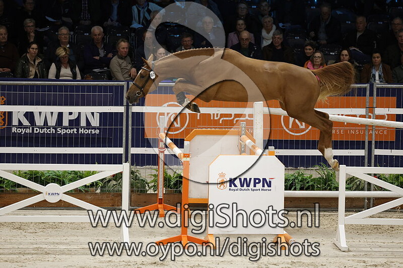 Riverdance v. Lambada Shake Ag - 097