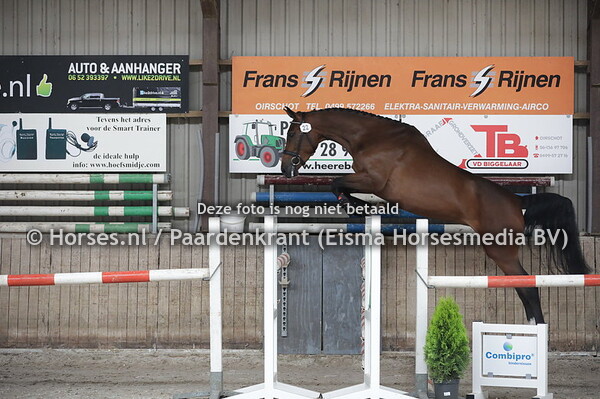 22 Marithé (Heart Touch x Dutch Pride v. Dutch Capitol)