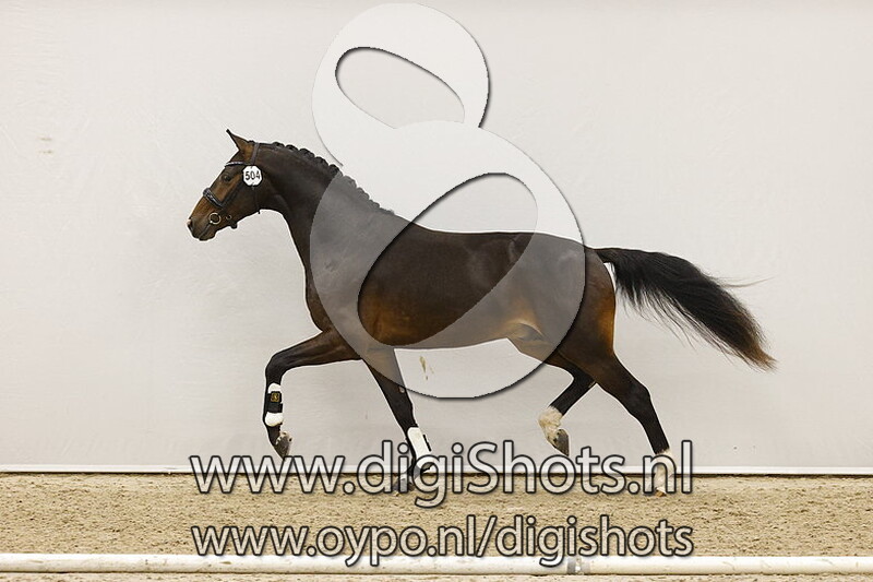 New Jay v. Jay Destino