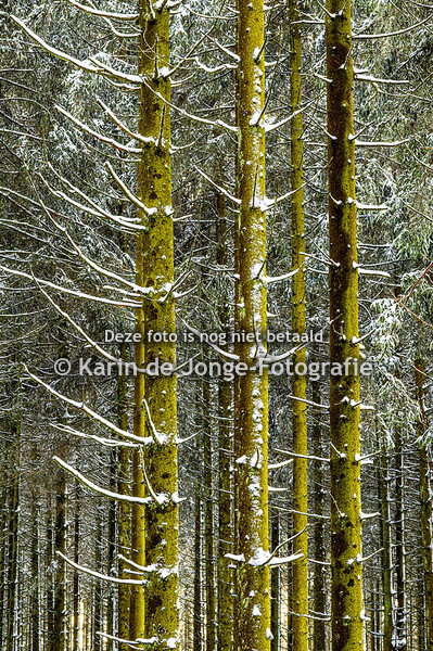 Stemmen van de natuur