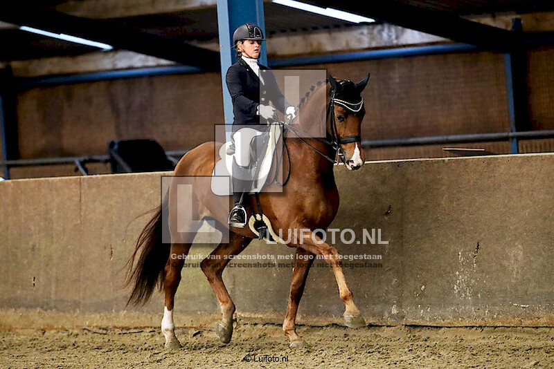 Regiokampioenschappen Paarden dressuur