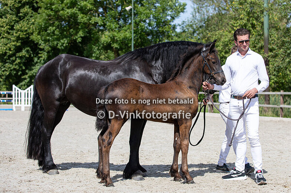 21. Boukje van Prebas