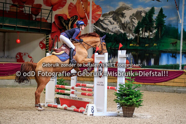 NY Jumping Warredal Finals 4y Horses 08-01-22