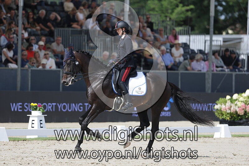 Samarant van de Kempenhoeve