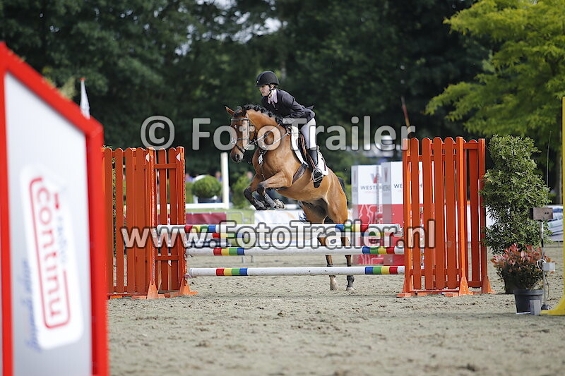 Carlijn van der Neut