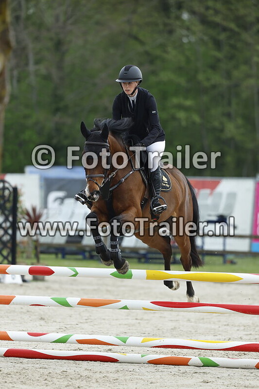 fabienne lichtenvoort cats