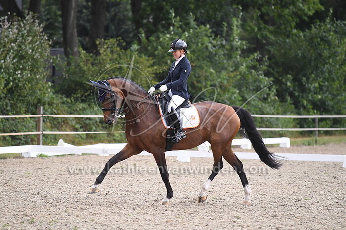 Para Dressuur Grade 1 tm 3