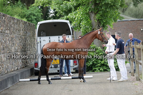 19-05-22 Stamboekkeuring De Steeg