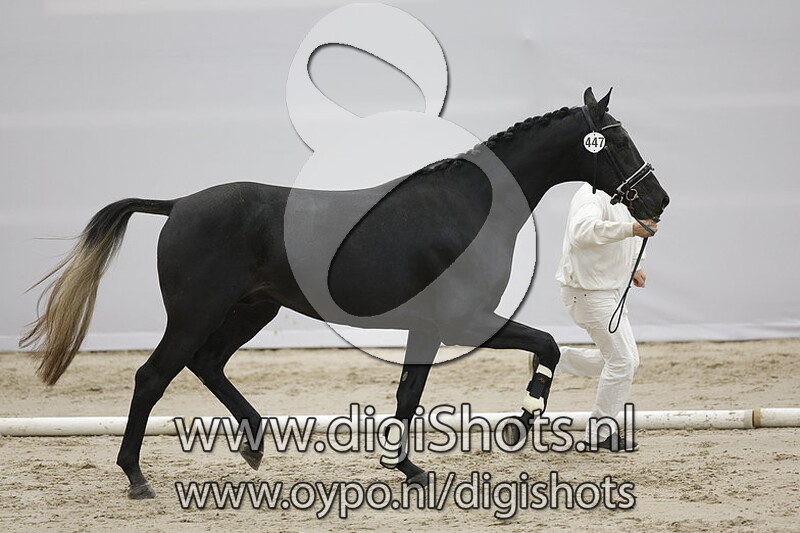 Perfect Picture v. Kjento - 447