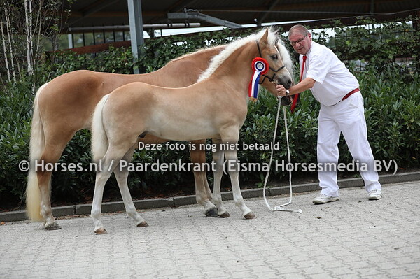 1 Allstar van de Esweide (Alpenschnee x Fiola vand e Esweide)