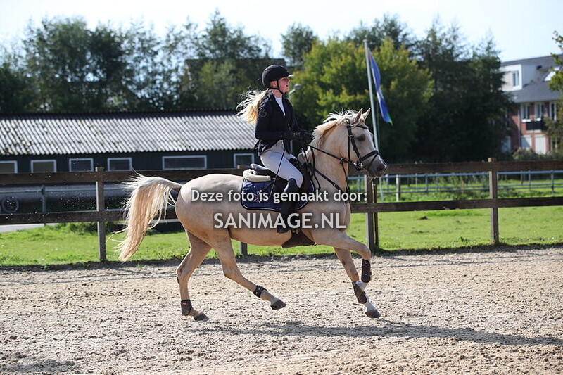 Groenewoude Springen 29-09-2024 Pony's 90 t/m 110 cm