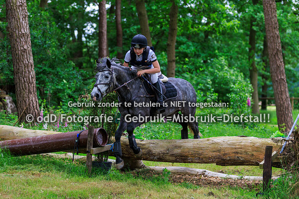 SGW Markelo Snorrewind Pony B 01-06-25