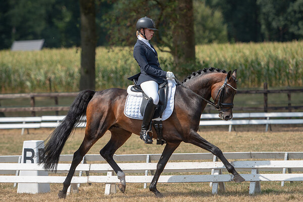 Regionale keuring Hellendoorn