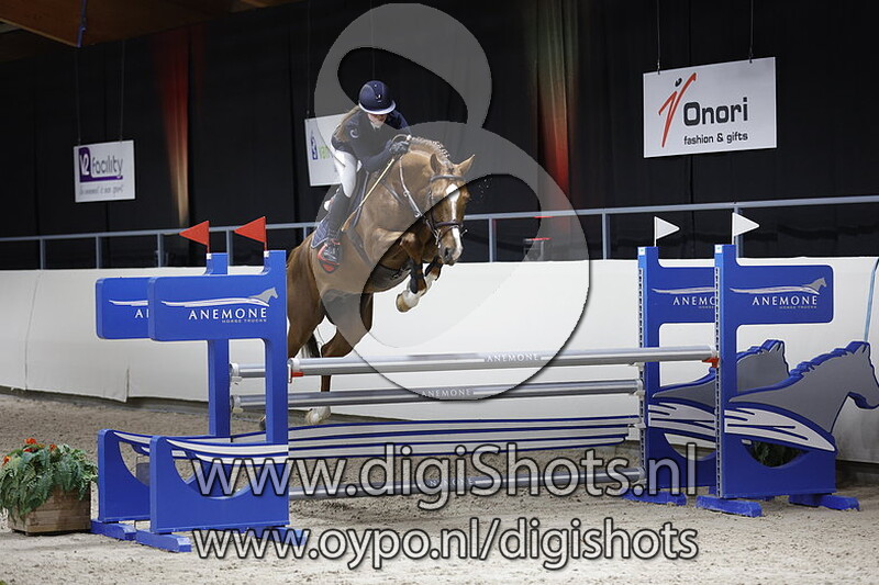 Maestro Gusto vd Laarse Heide