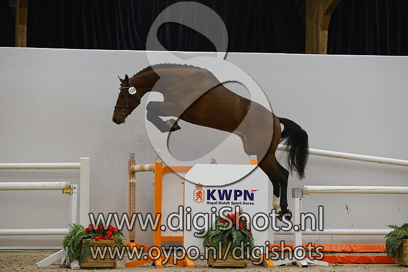 Numenius vd Watermolen v. Voltaire