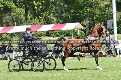 DS24 nationaal kleine limiet