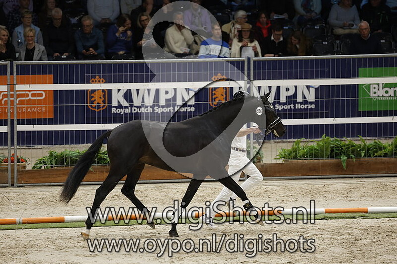 Rocket Shot Tc v. First Date - 350