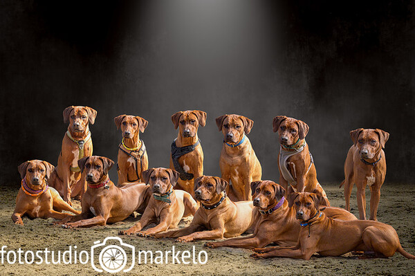 Nest Pepper 8 maanden