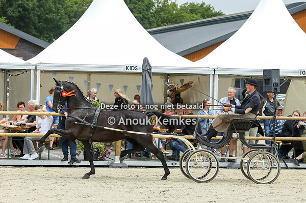 TP Noord Lage Limiet 