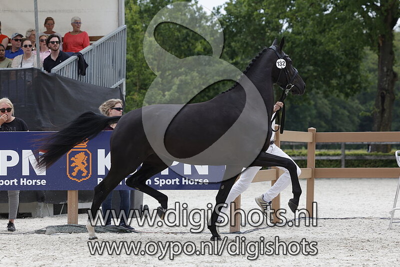 Phatilinda Taonga v. Cum Laude