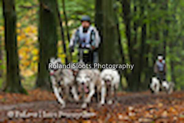 KIVO Kempentrail 2014