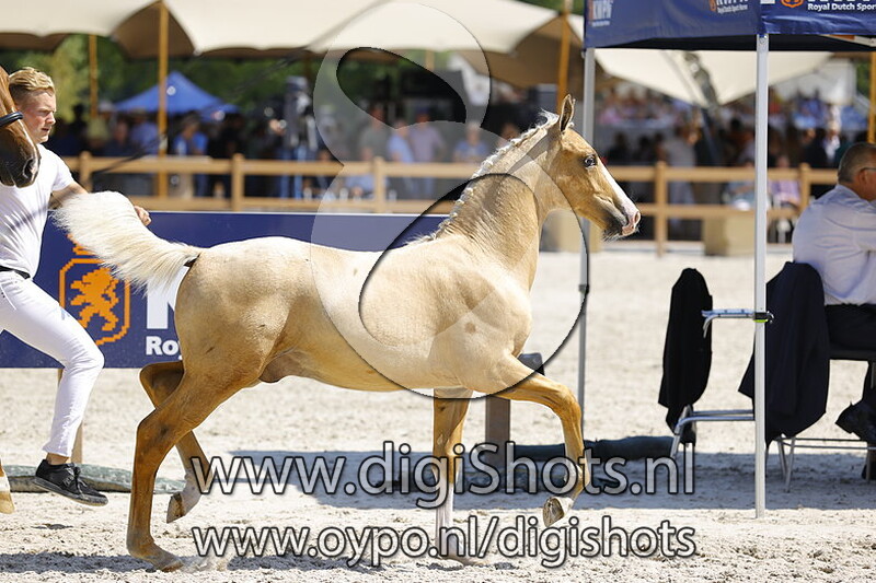 Tino Mundo v. Edmundo