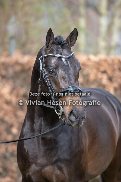 Her- en Nakeuring NWPCS