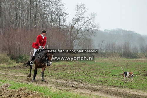 19 Rekken 14-12-2024