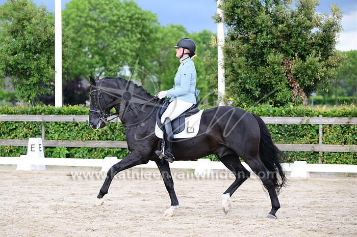 Danielle Middelbrink - Seven Oak's Idol E