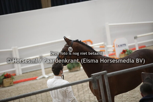 56 Napoleon (Cordess x Barones v. Indorado)