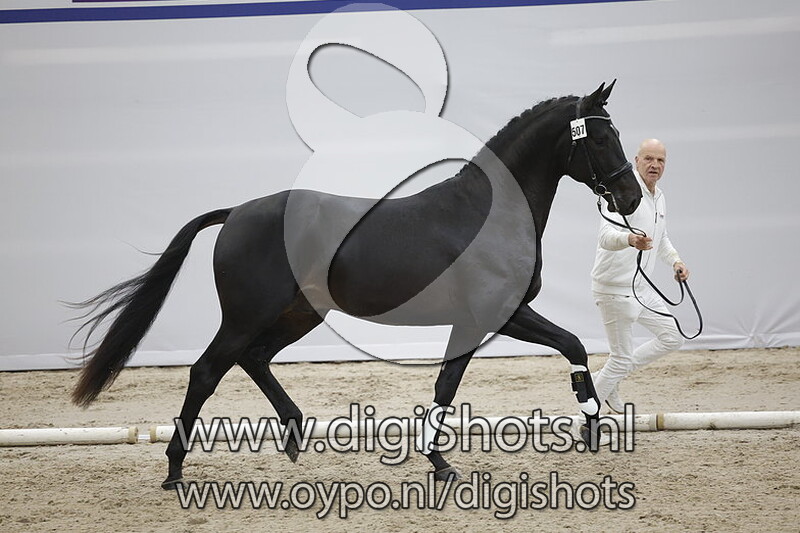 Princeton v. Lord Europe - 507