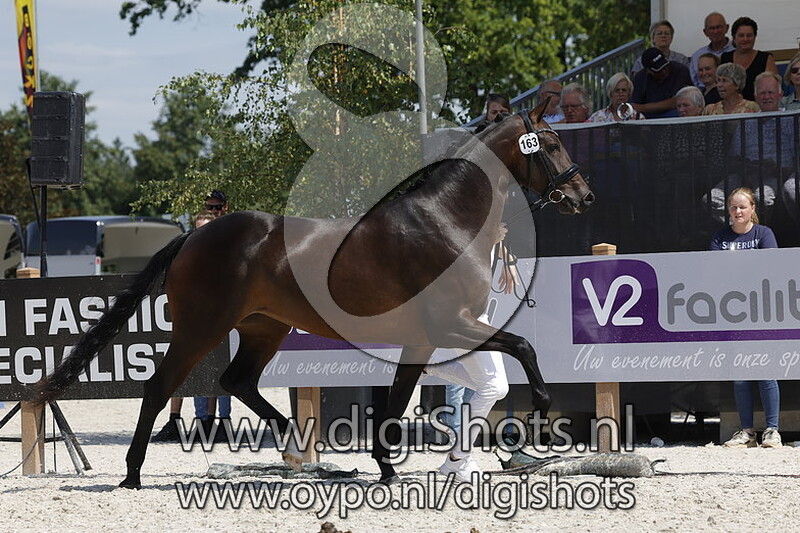 Phaedra v. Le Formidable