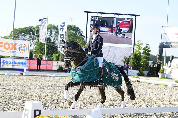 Sara Holleman - King Stayerhof's Jango