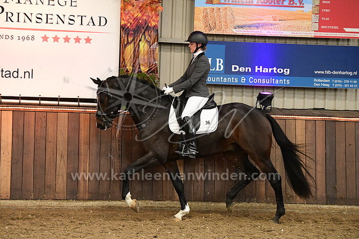 Fransje van der Meer