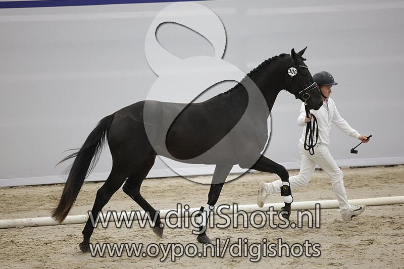 Pythagoras WK v. All at Once - 300