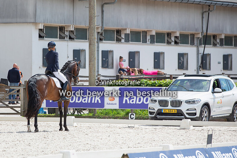 572. Fleur Kraak - Viking's Desperado