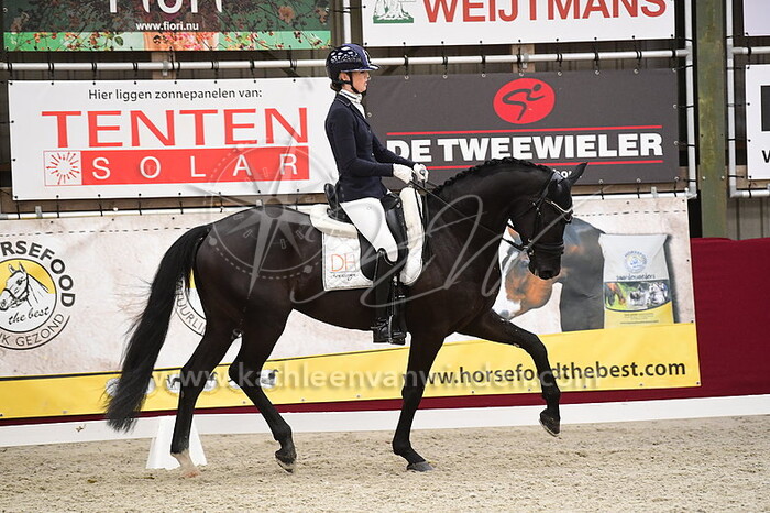 Danielle Houtvast - Figaro