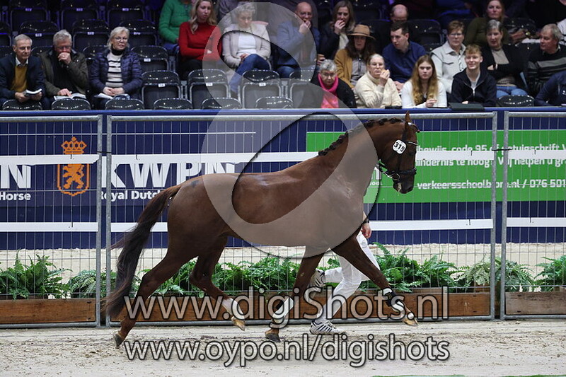 Soulmate VDW v. Dream Boy